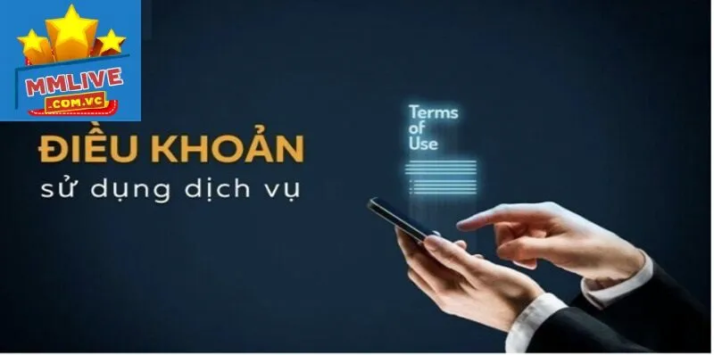 Độ Tuổi Hợp Lệ Của Điều Khoản & Điều Kiện MMLive