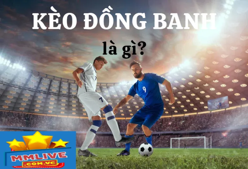Đặc điểm quan trọng khi tìm hiểu kèo đồng banh là gì?