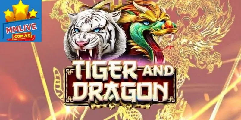 Mẹo chơi rồng hổ bất bại tại MMLive